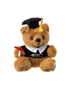 Teddybeer Graduation Hanzehogeschool Groningen - SALE